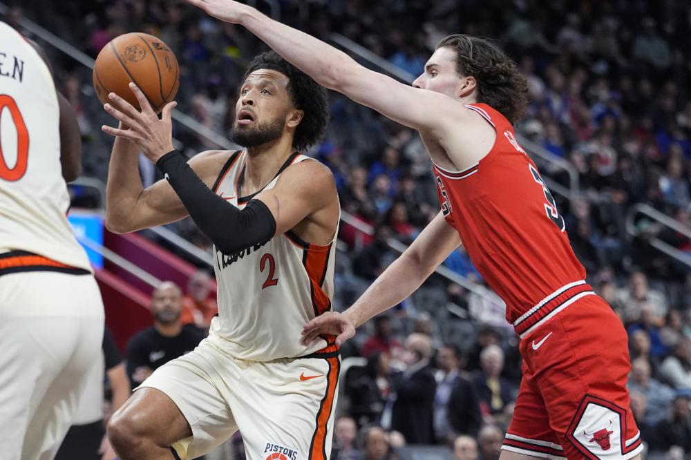 年轻核心的 年轻核心的